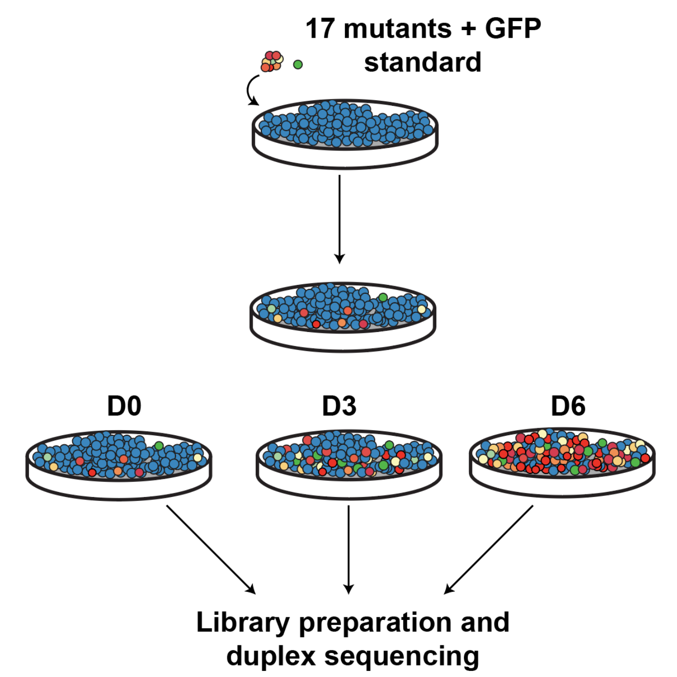 Click to go to spike-in mutant analyses